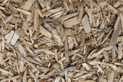 biomass boilers Auchtertyre